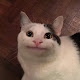 아이엠밈