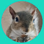 The Squirrelly Life logo