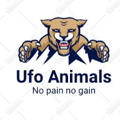 Channel thumbnail for UFO ANIMALS