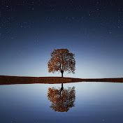 Life In View
