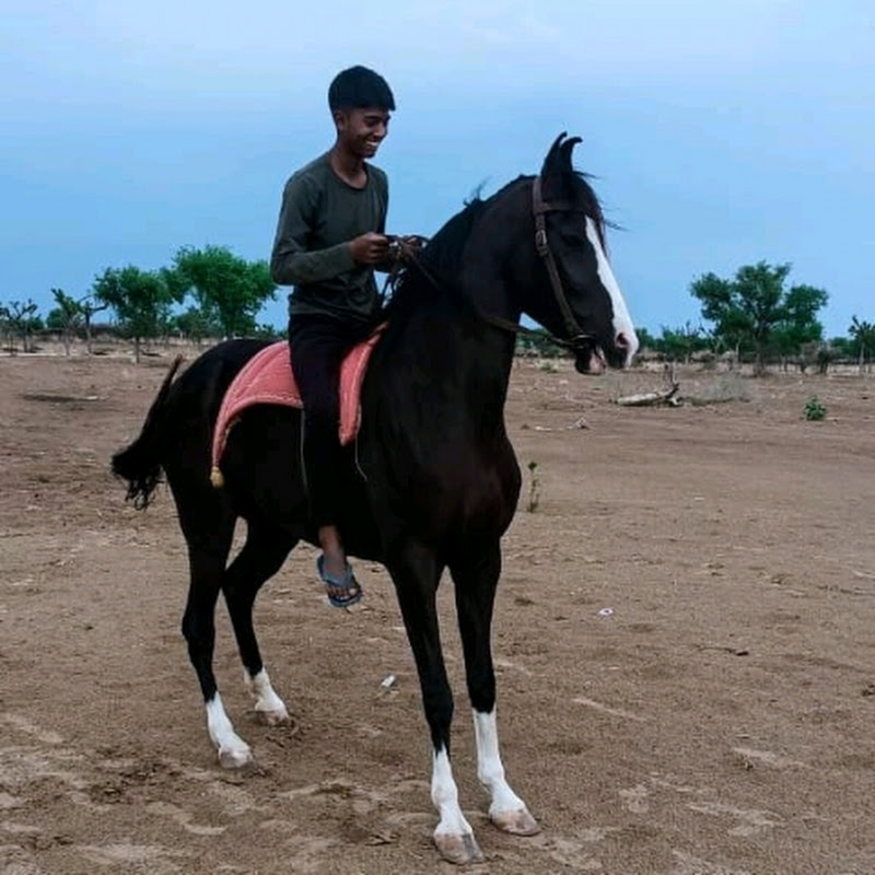 Hire rakesh meghval 007 — Pets & Animals YouTube creator for sponsorships