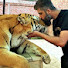 XhMzU-cVSN8-channel-avatar-ANIMAL LOVER OF PAKISTAN