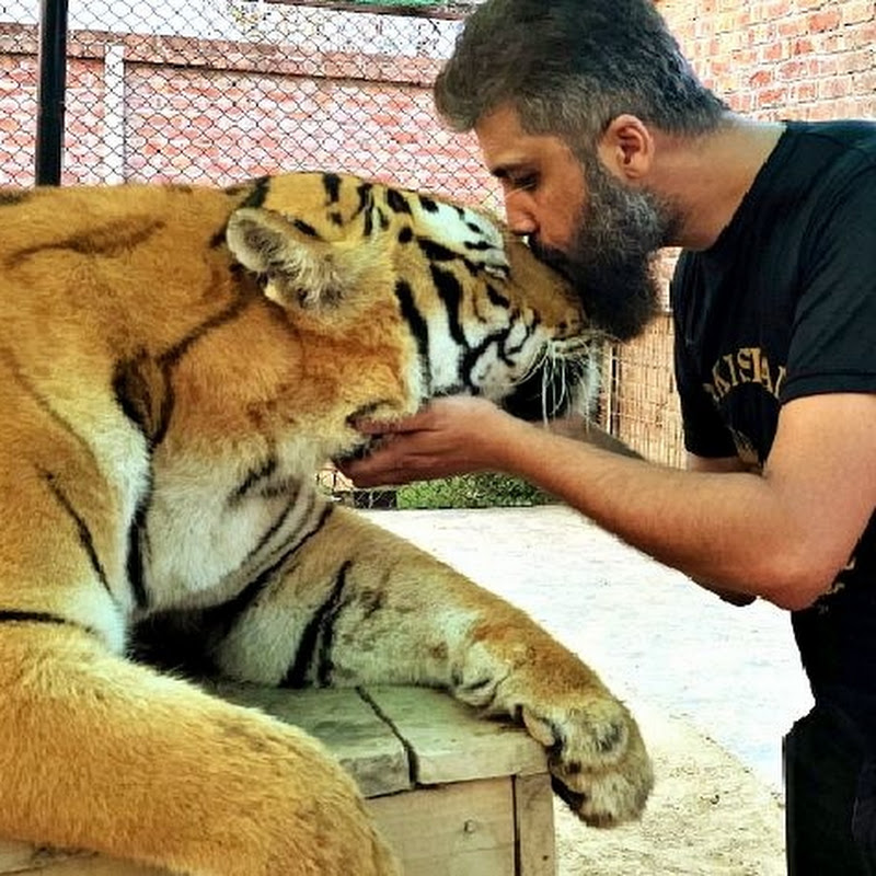 ANIMAL LOVER OF PAKISTAN