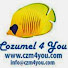 45VOv4dG7Kg-channel-avatar-Cozumel 4 You NEWS