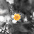 @Pompadour123's avatar