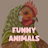b6rJ5wX6tKw-channel-avatar-FunnyAnimals
