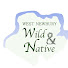 L8rnwk6vn24-channel-avatar-Wild Native
