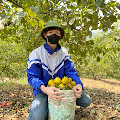 Kiếm Tiền KTOL