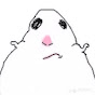 RandomRanks Avatar