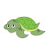Et4yWgiRQgM-channel-avatar-Seawatt Live