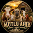 qYegjla3D6s-channel-avatar-Mutlu Ahır