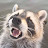 @TaccRaccoon