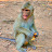 Viral Monkey TV