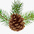 @TheGoldenPine