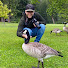 elK1stEuXxY-channel-avatar-Birdfeeding with Kurtis
