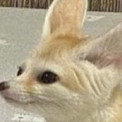 おがわけんと