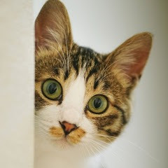 ペッパーミルガール