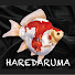 zrYBs3bS7cg-channel-avatar-haredaruma channel