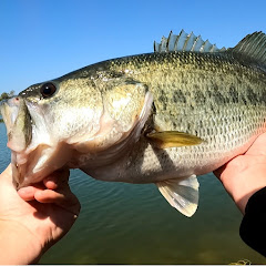 SD Local Fishing Channel