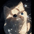 zX_gJRCMKNo-channel-avatar-Behind the Door of Night 