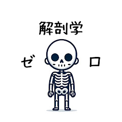 ゼロから学ぶ解剖学アイコン画像