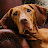 @Prayerswithmydog