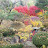 @주인공-o2y