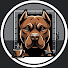 26p6HMA4pxw-channel-avatar-Brewed in the Bunker