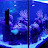 Plaza fish aquariums 