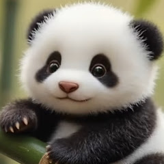 みったろうの部屋