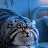 youtube avatar
