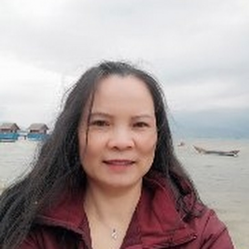 清清世界旅游 Logo