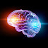 aCbDqBL4Uj4-channel-avatar-Mentalidade Hunter