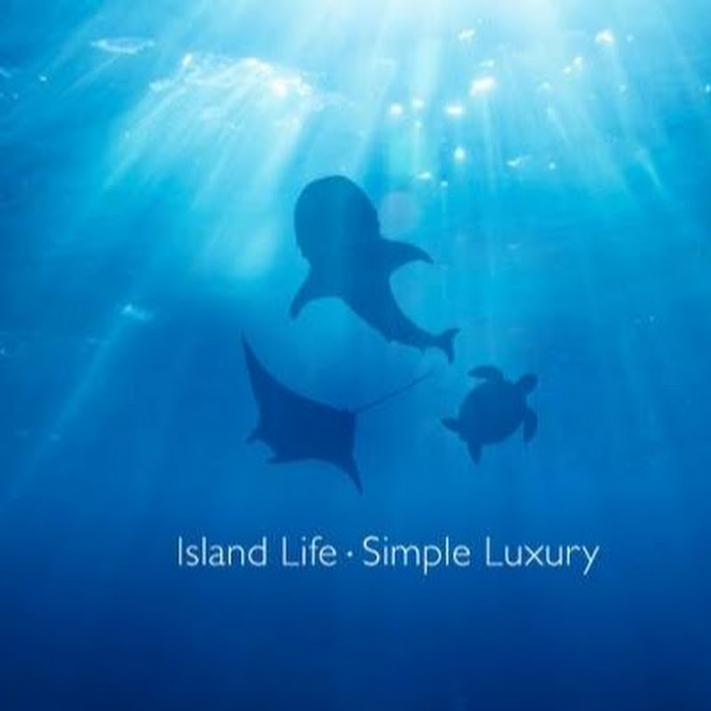 Boutique Beach All Inclusive Diving Hotel Dhigurah channel avatar