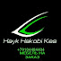 BdUgtO1IWTY-channel-avatar-Hayk HakobI Kes
