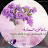 Rasha eldesouky