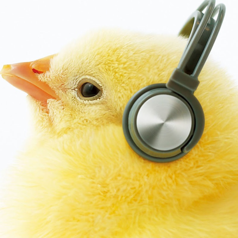 菅野よう子 / Yoko Kannoのサムネイル