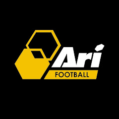 Ari Football net worth