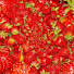 5b43Cm68bUc-channel-avatar-Strawberry