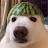 @Twani