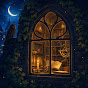h3mjy4eYmU8-channel-avatar- The Moonlit Library