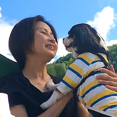 ひとりと1匹旅物語