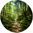 xygHAIxxYWM-channel-avatar-灯裏ばなし