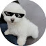 v4X1zcJeqZw-channel-avatar-Marksneakers and youdo boy