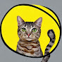 Meowdy Fi logo
