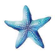 GORGSTARFISH