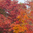 @wisdom0727