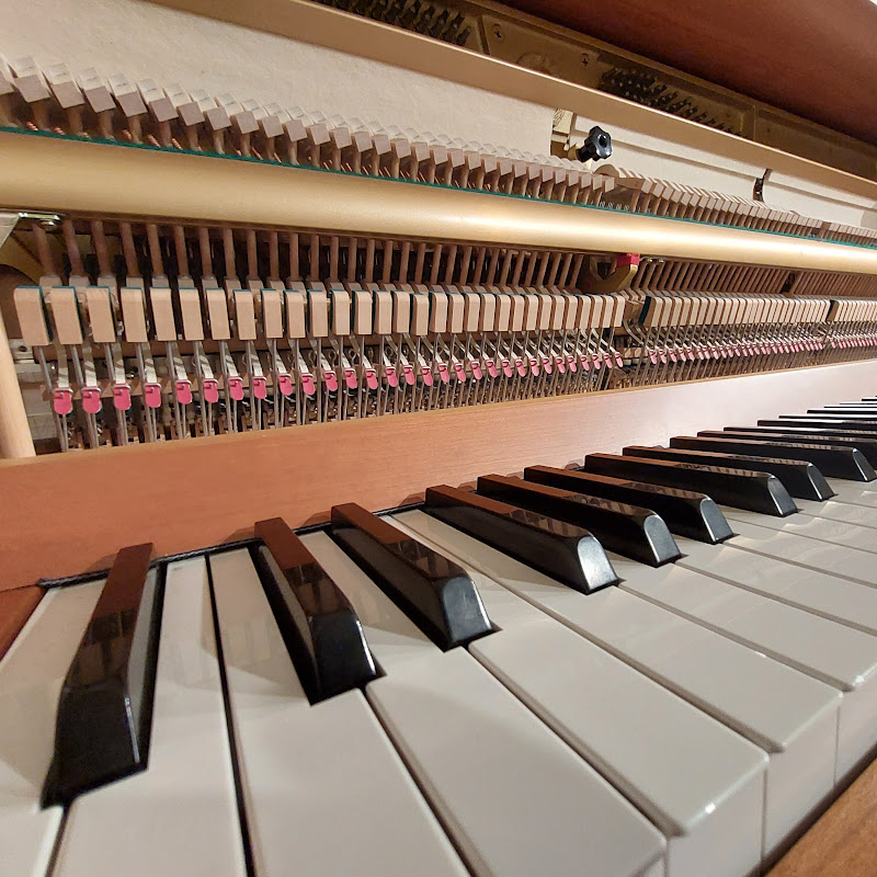 Bayoogie Piano School