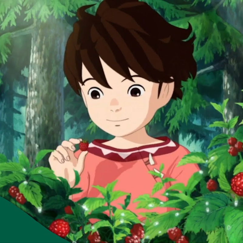 Ronja, the Robber's Daughter