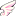 メンバー(1 年)